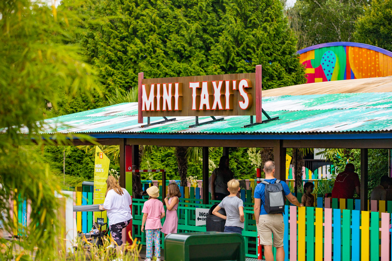 Mini Taxi’s: botsauto's voor kids - Walibi Holland